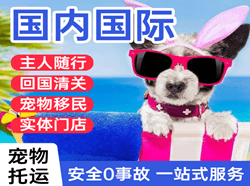 三沙空运代理国际宠物托运 【国